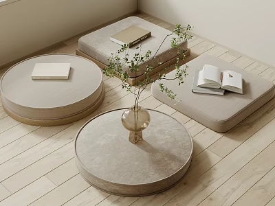 Light Colored Padded Round Low Tables With Books Transparent Vase Green Plants On Wooden Floor 3d model