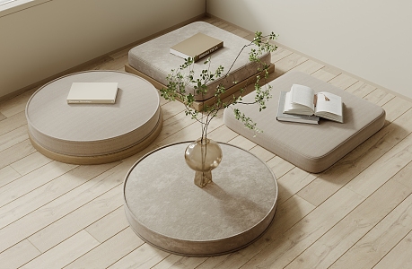 Modern Cushion 3d model