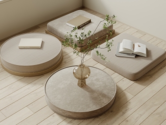 Modern Cushion 3d model