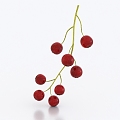 gooseberry berry fruit 3d model