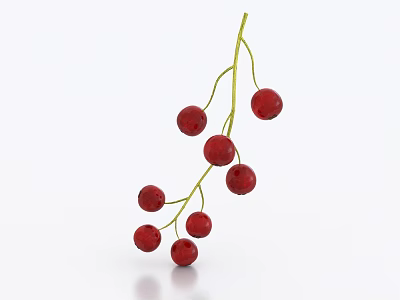 gooseberry berry fruit 3d model