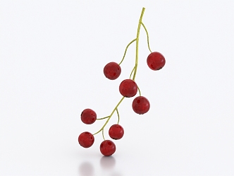 gooseberry berry fruit 3d model