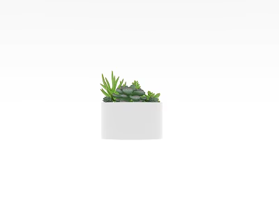 Modern White Planter with Small Green Succulent Plants for Home Decor 3d model