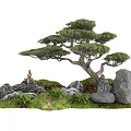 Tree Pit Natural Landscape Design With Pine Tree Rocks And Green Grass 3d model