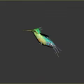 Colorful Bird With Green Head Yellow Belly And Blue Spread Wings With Reflection