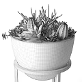 Potted Snake Plant and Succulents in White Planters on Gold Metal Stands Gray Wall