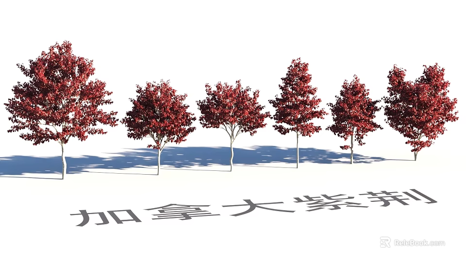 Tranquil Garden Landscape Featuring Canadian Redbud Trees With Red Leaves And Shadows 3d model 