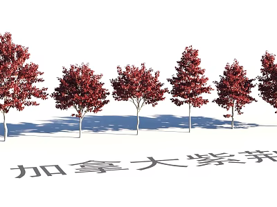 Tranquil Garden Landscape Featuring Canadian Redbud Trees With Red Leaves And Shadows 3d model