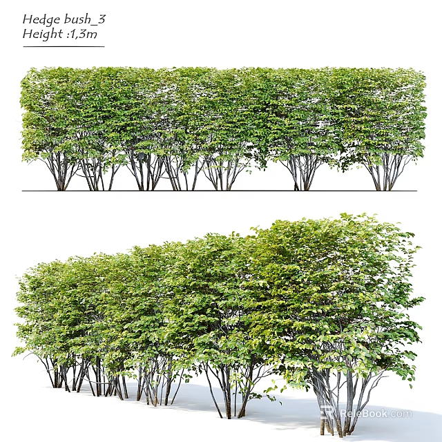 Decorative Plant Arrangement With Well Trimmed Green Hedges And Natural Landscape 3d model 