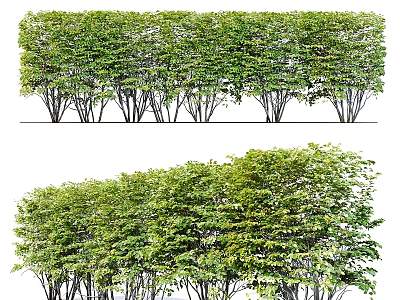 Decorative Plant Arrangement With Well Trimmed Green Hedges And Natural Landscape 3d model
