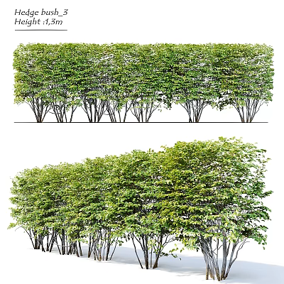 Decorative Plant Arrangement With Well Trimmed Green Hedges And Natural Landscape 3d model