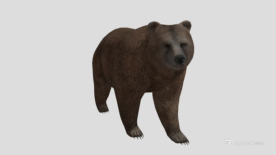 Realistic Brown Bear 3D Model With Walking Posture And Brown Fur 3d model 