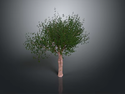Green Leafy Tree With Brown Trunk Isolated On Gray Background 3D Render 3d model