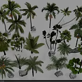 Various Types of Shrubs and Palm Trees with Decorative Stones in Garden