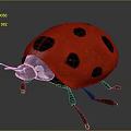 Realistic Red Ladybug With Black Spots On Shiny Back And Thin Black Antennae 3d model