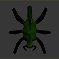Green Scorpion 3D Model With Detailed Body Black Claws And Curved Tail