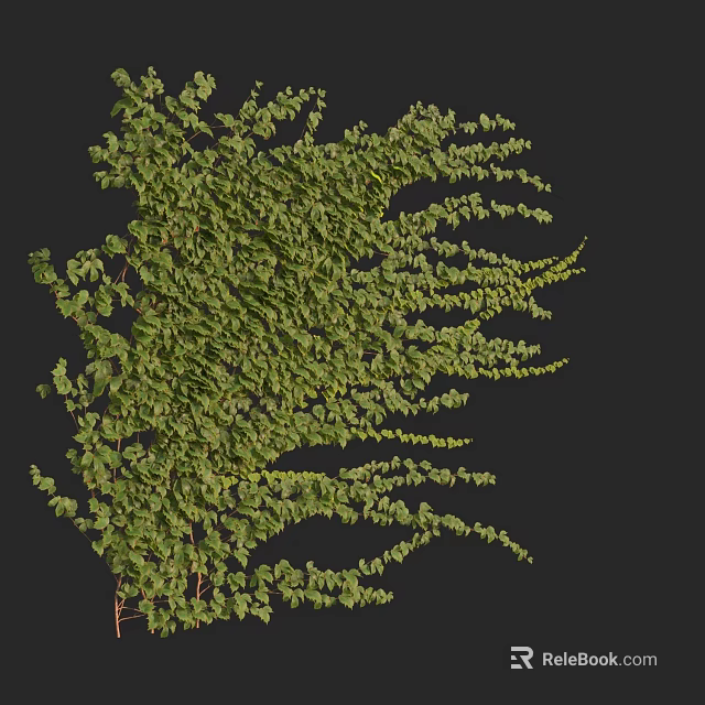 Green Vines With Lush Leaves And Stretching Branches Against Black Background 3d model 