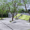 Residential Landscape Design With Lush Green Lawn Trees And Water Feature Pathway