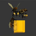 Flying Insect Bees In Honeycomb Structure With Larvae Pupa And Adult Life Stages