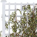 Green Vines With Lush Green Leaves Growing On White Lattice Trellis