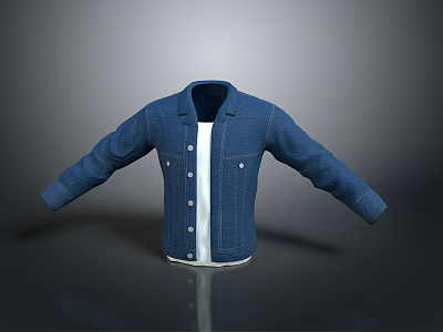 Blue Denim Jacket With White T-shirt Casual Style Long Sleeves Buttons Everyday Wear 3d model