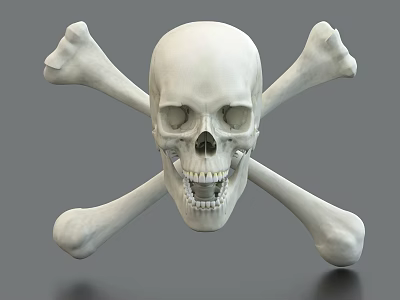 Artistic White Skull Sculpture Carving With Crossed Bones On Gray Background 3d model