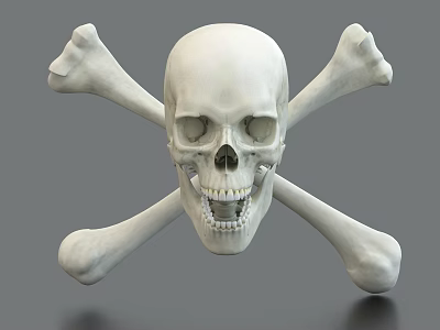 Artistic White Skull Sculpture Carving With Crossed Bones On Gray Background 3d model
