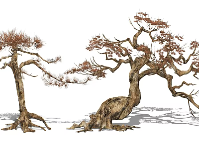 Two Arbor Trees With Curved Trunks Exposed Roots And Red Foliage 3d model