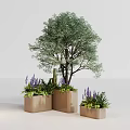 Bonsai Plant Decorative Display With Square Planters Purple Flowers And Green Foliage