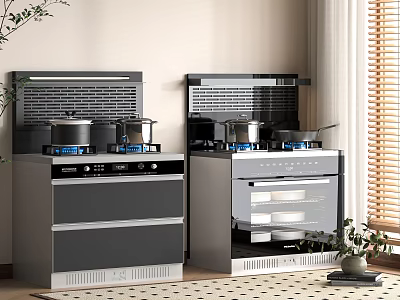 Modern Integrated Kitchen Appliances With Gas Cooktops Oven And Pots In Home Setting 3d model