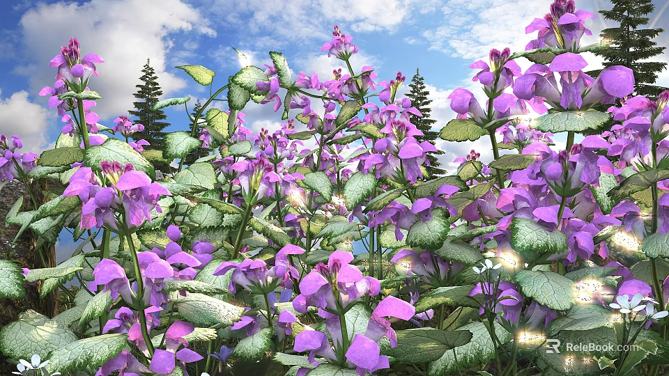 Blooming Purple Flowers With Green Leaves Against Blue Sky And Pine Trees 3d model 