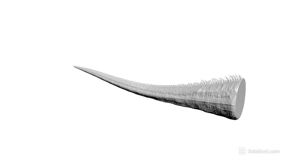 Detailed Long Textured Animal Tusk With Natural Surface And Curved Structure 3d model 