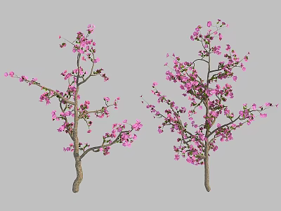 Blossoming Trees With Pink Flowers And Delicate Branches On Natural Trunks 3d model