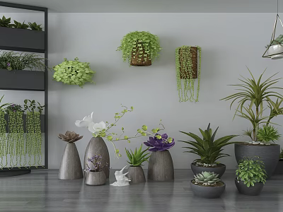 Indoor Potted Plants Decor With Hanging Varieties And Various Stylish Pots On Shelves 3d model