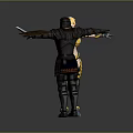 Golden Armored Female Character And Black Armored Creature With Weapon Shield In Confrontation Pose