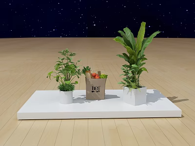 Green Plants and Paper Bag with Fruits Vegetables on White Platform Wooden Floor Starry Background 3d model