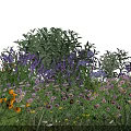 Vibrant Garden Flowers Featuring Lavender White Blooms Yellow Daisies and Green Foliage