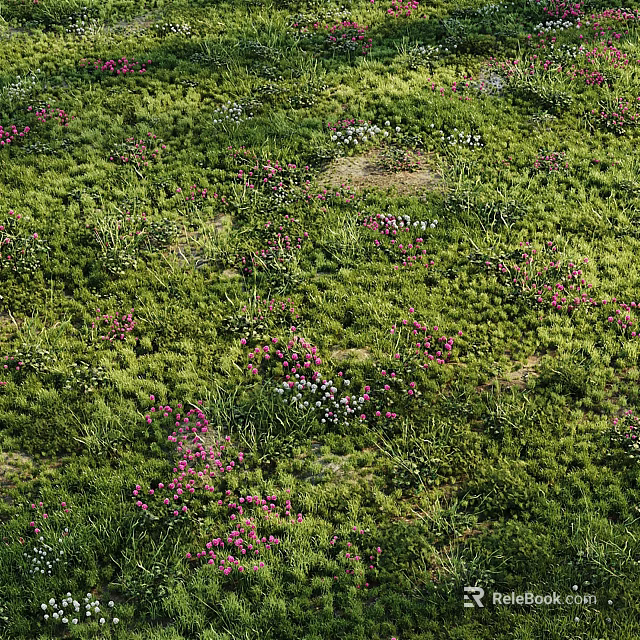 Vibrant Natural Meadow With Lush Green Grass And Blooming Pink White Flowers 3d model 
