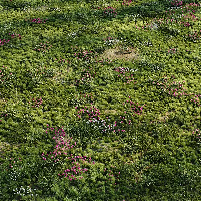 Vibrant Natural Meadow With Lush Green Grass And Blooming Pink White Flowers 3d model