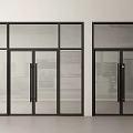 Modern Glass Door With Black Frame Double Panel And Metal Handle Design 3d model