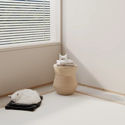 Wooden Side Table by Window with Books Decorative Item and White Cat Nearby 3d model