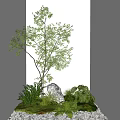 Garden Ornaments With Small Tree Green Plants Decorative Stone And Fresh Foliage