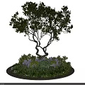 Beautiful Garden Landscape With Twisted Trunk Tree Green Plants And Purple Flowers In Circular Arrangement