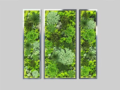 Indoor Three Vertical Living Plant Wall Panels With Metal Frames Various Plants Different Leaf Shapes 3d model