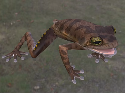 Aquatic Frog With Brown Spotted Skin Green Eyes Open Mouth And Outstretched Limbs On Grass 3d model