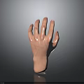 3D Model of Human Hand Organ With Natural Hair Texture Details