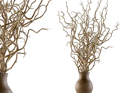 Two Stylish Brown Vases With Twisted Flower Branches For Home Decor 3d model