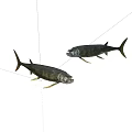 Realistic Aquatic Animal Two Dark Colored Fish With Fins On White Background