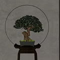 Elegant Bonsai Plant With Twisted Trunk And Green Foliage On Wooden Stand