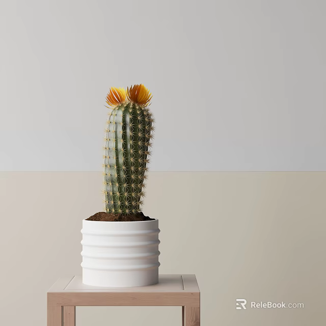 Decorative Columnar Cactus Potted Plant With Yellow Blossoms In White Ribbed Planter 3d model 